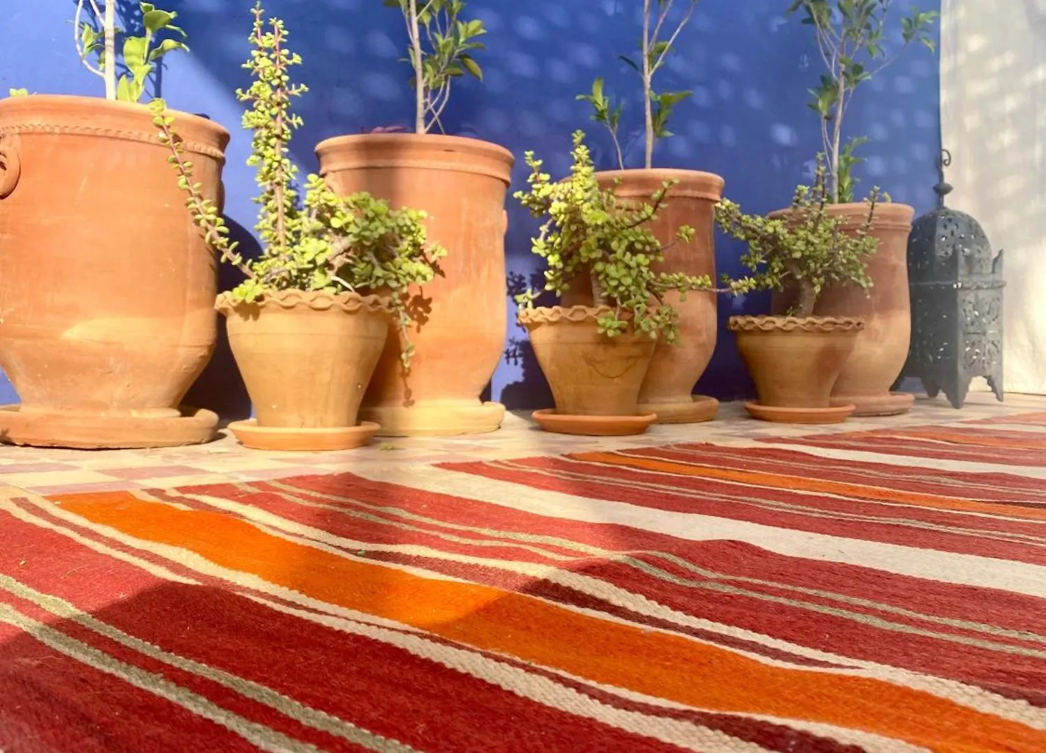 Riad La Perle De Bacha Marrakesh 0*,  Morocco